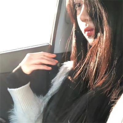鲨鱼：风暴