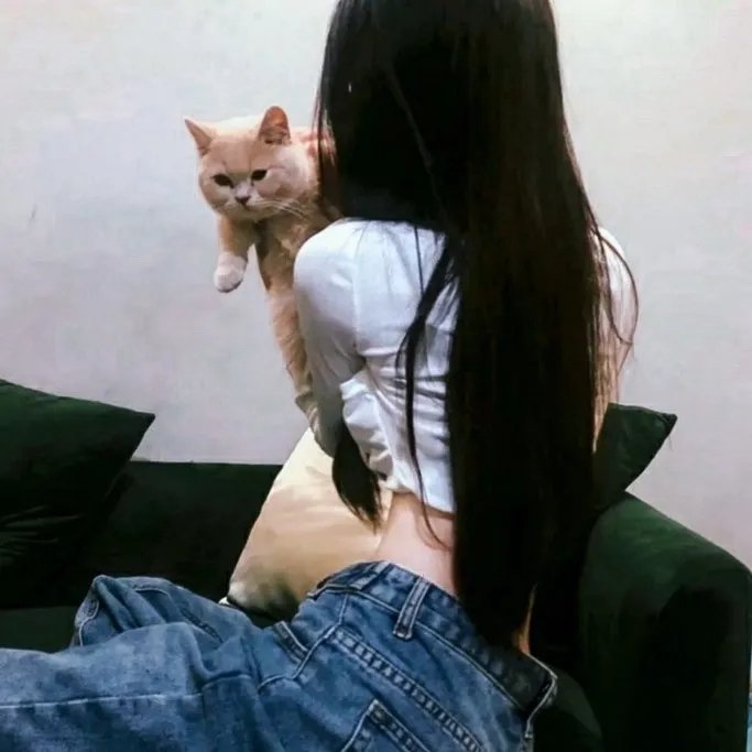 环形使者